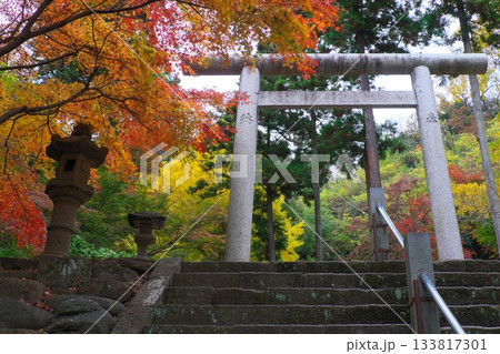 秋の鎌倉 紅葉が彩る半僧坊に続く石段と鳥居 秋の鎌倉 紅葉が彩る半僧坊に続く石段と鳥居 133817301