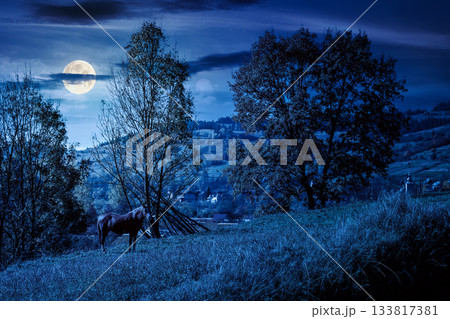 brown horse grazing on lush field at night. serene rural landscape in full moon light. mountains alpine scenery during autumn. backdrop for sustainability fiction art or conservation mystery concepts 133817381