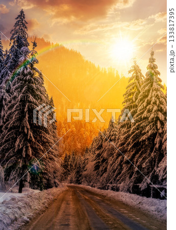 winter mountain landscape at sunset. road that leads into the spruce forest covered with snow in evening light. vertical storytelling cinematic image under the rainbow 133817395