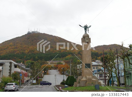 函館山紅葉 133817443
