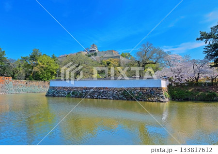 【香川県】北側内堀から見た桜咲く春の丸亀城 133817612