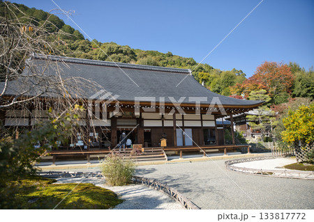 小倉山二尊院　綺麗に手入れされている境内と本堂3 133817772