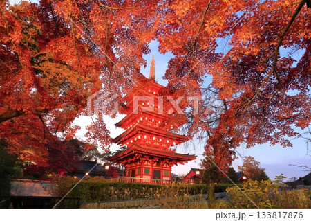 日野市高幡不動尊　五重塔と紅葉　ライトアップ 133817876