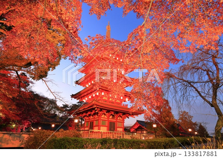 日野市高幡不動尊 五重塔と紅葉 ライトアップ 日野市高幡不動尊 五重塔と紅葉 ライトアップ 133817881