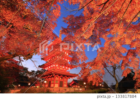日野市高幡不動尊　五重塔と紅葉　ライトアップ 133817884