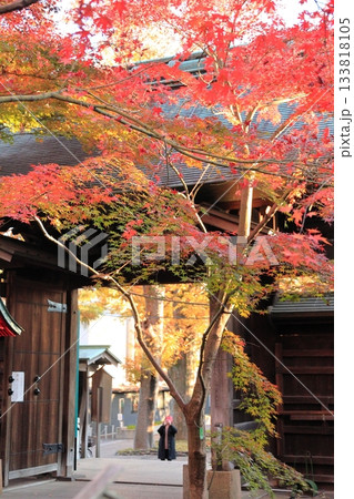 東京都世田谷区 秋の九品仏浄真寺の紅葉 東京都世田谷区 秋の九品仏浄真寺の紅葉 133818105