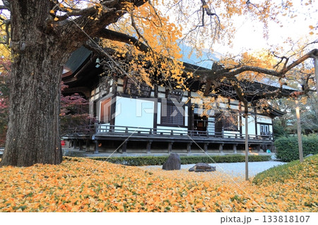 東京都世田谷区　秋の九品仏浄真寺の紅葉　 133818107