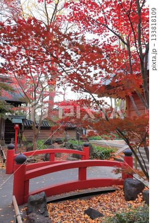 東京都世田谷区　秋の九品仏浄真寺の紅葉　 133818109