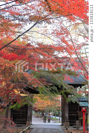 東京都世田谷区 秋の九品仏浄真寺の紅葉 東京都世田谷区 秋の九品仏浄真寺の紅葉 133818111