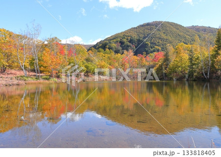 《長野県》乗鞍高原・まいめの池《秋》 133818405