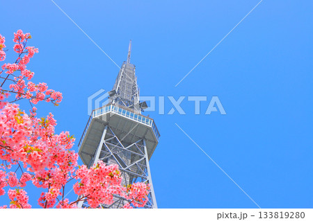 愛知県名古屋市、河津桜と名古屋テレビ塔の風景 愛知県名古屋市、河津桜と名古屋テレビ塔の風景 133819280