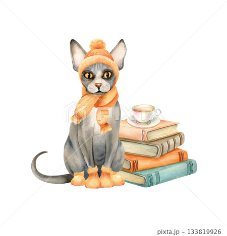 Sphynx cat in knitted hat, scarf, socks is sitting in front of stack of books, cup of tea. Hairless Kitty in warm clothes. Watercolor isolated illustration. Vintage style, winter, autumn cozy clipart 133819926