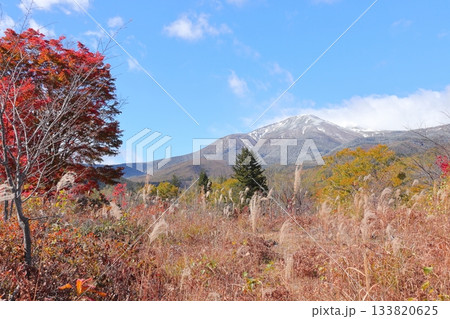 【長野県】乗鞍高原・一の瀬園地の大カエデ 【長野県】乗鞍高原・一の瀬園地の大カエデ 133820625