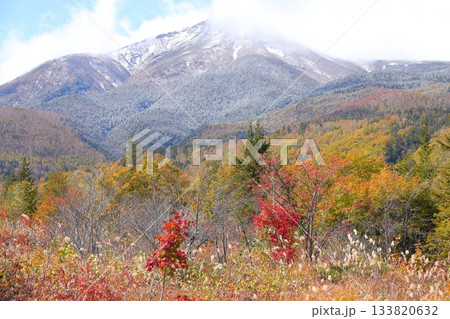【長野県】乗鞍高原・一の瀬園地 【長野県】乗鞍高原・一の瀬園地 133820632