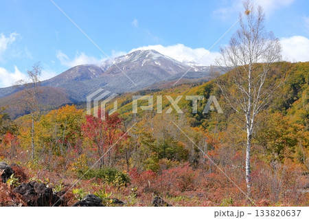 【長野県】乗鞍高原・一の瀬園地 【長野県】乗鞍高原・一の瀬園地 133820637