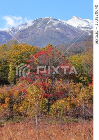 【長野県】乗鞍高原・一の瀬園地 133820640