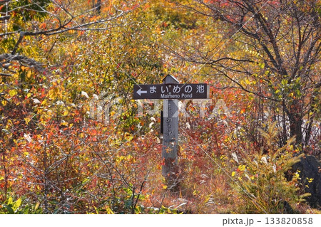 【長野県】乗鞍高原・一の瀬園地 休憩所 【長野県】乗鞍高原・一の瀬園地 休憩所 133820858