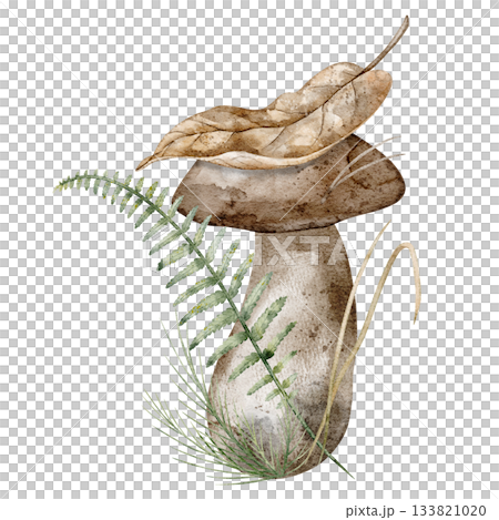 Watercolor illustration of boletus Mushroom with fern, dry leaf and grass. Drawing of autumn woodland botanical elements for seasonal greeting card or invitation. Art of Fungus on isolated background. Watercolor illustration of boletus Mushroom with fern, dry leaf and grass. Drawing of autumn woodland botanical elements for seasonal greeting card or invitation. Art of Fungus on isolated background. 133821020