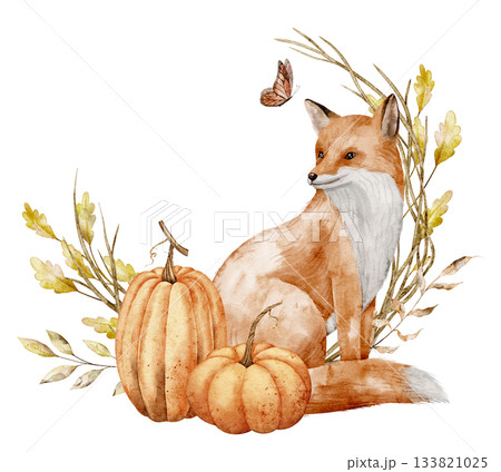 Watercolor illustration of Fox with Pumpkins, butterfly and autumn branches. Drawing of Woodland Animal for nursery posters or harvest greeting cards. Art for baby invitations on isolated background. 133821025