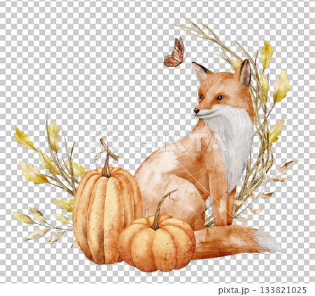 Watercolor illustration of Fox with Pumpkins, butterfly and autumn branches. Drawing of Woodland Animal for nursery posters or harvest greeting cards. Art for baby invitations on isolated background. 133821025