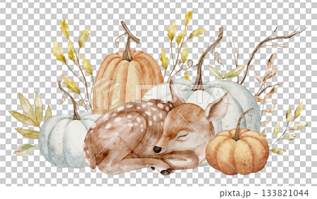 Watercolor Fawn sleeping among pumpkins and autumn plants. Illustration of Deer for harvest greeting cards or invitations. Autumn compositions with forest animal and fall leaves on isolated background Watercolor Fawn sleeping among pumpkins and autumn plants. Illustration of Deer for harvest greeting cards or invitations. Autumn compositions with forest animal and fall leaves on isolated background 133821044