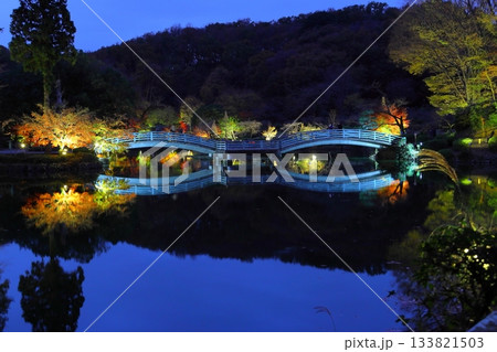 東京都町田市薬師池公園の紅葉ライトアップ 東京都町田市薬師池公園の紅葉ライトアップ 133821503