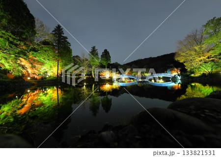 東京都町田市薬師池公園の紅葉ライトアップ 東京都町田市薬師池公園の紅葉ライトアップ 133821531