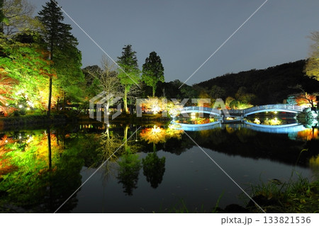 東京都町田市薬師池公園の紅葉ライトアップ 東京都町田市薬師池公園の紅葉ライトアップ 133821536