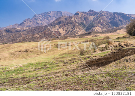 《熊本県》阿蘇の草原の風景 133822181