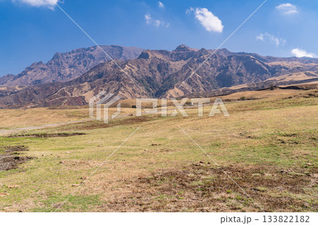 《熊本県》阿蘇の草原の風景 133822182