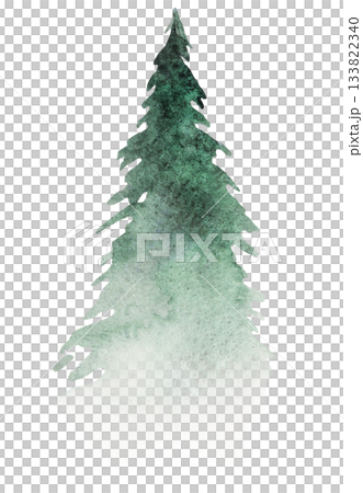 Hand drawn watercolor green spruce or pine tree, isolated illustration for Christmas stationery Hand drawn watercolor green spruce or pine tree, isolated illustration for Christmas stationery 133822340