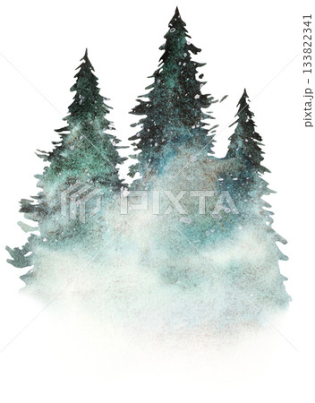 Hand drawn watercolor green spruce or pine tree misty forest, winter isolated illustration 133822341