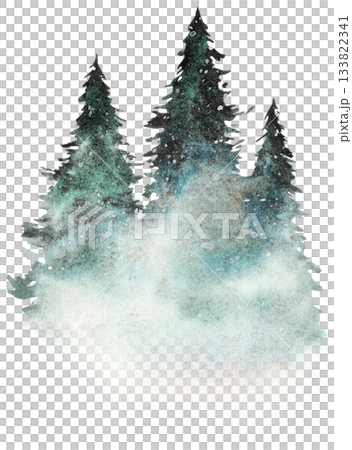 Hand drawn watercolor green spruce or pine tree misty forest, winter isolated illustration 133822341