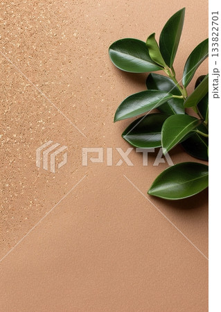A small green plant rests on a cork surface, blending with the warm tones of the textured background. The natural elements create a calming and serene atmosphere, highlighting simplicity 133822701
