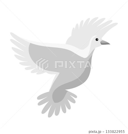 Flying dove. White grey pigeon with spread wings. Elegant and simple bird for nature, wildlife, and freedom-themed graphics. Cartoon minimalistic vector illustration Flying dove. White grey pigeon with spread wings. Elegant and simple bird for nature, wildlife, and freedom-themed graphics. Cartoon minimalistic vector illustration 133822955