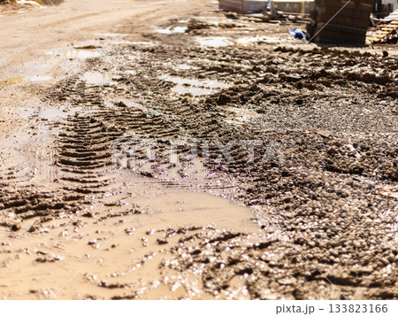 A dirt road is covered with wet mud and tire tracks after recent rainfall. Small puddles form in low areas, reflecting the bright sunlight above A dirt road is covered with wet mud and tire tracks after recent rainfall. Small puddles form in low areas, reflecting the bright sunlight above 133823166