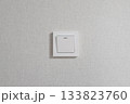 The light switch is mounted on a gray wall. 133823760