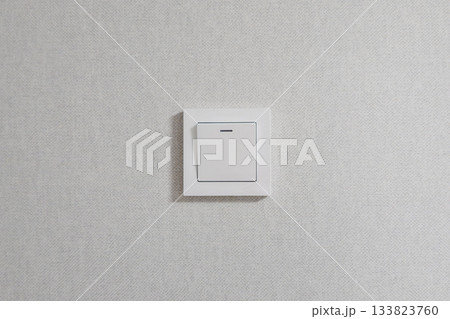 The light switch is mounted on a gray wall. The light switch is mounted on a gray wall. 133823760