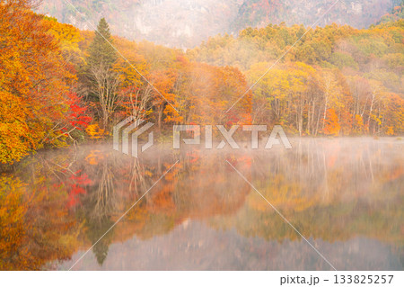 《長野県》鏡池夜明け・紅葉最盛期の戸隠 《長野県》鏡池夜明け・紅葉最盛期の戸隠 133825257