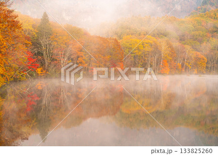 《長野県》鏡池夜明け・紅葉最盛期の戸隠 《長野県》鏡池夜明け・紅葉最盛期の戸隠 133825260