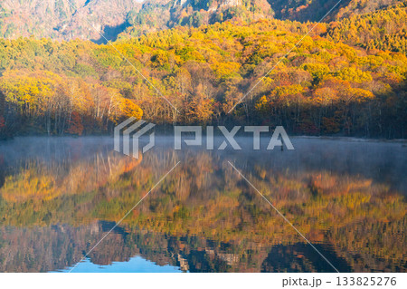 《長野県》鏡池夜明け・紅葉最盛期の戸隠 133825276