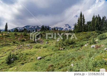 Green forest wood landscape in mountain. Nature of mixed forest. Landscape of scenery nature. Scenic landscape woodland. Hill landscape with forest. Nature mountain forest. Quiet hill country Green forest wood landscape in mountain. Nature of mixed forest. Landscape of scenery nature. Scenic landscape woodland. Hill landscape with forest. Nature mountain forest. Quiet hill country 133826132