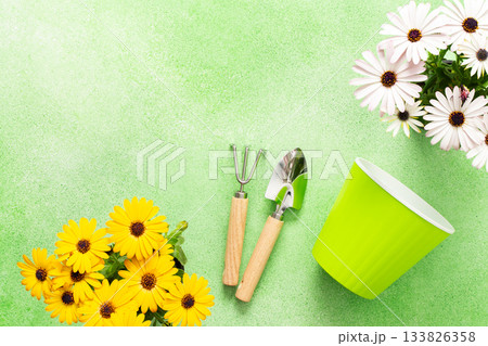 Bright spring flowers in vibrant colors decorate a balcony. Gardening tools lie next to colorful pots, inspiring a joyful planting activity on a sunny day 133826358