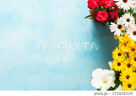 Colorful spring flowers decorate a home balcony, creating a vibrant atmosphere. This scene showcases various blooms against a bright blue background, enhancing the outdoor space charm Colorful spring flowers decorate a home balcony, creating a vibrant atmosphere. This scene showcases various blooms against a bright blue background, enhancing the outdoor space charm 133826529