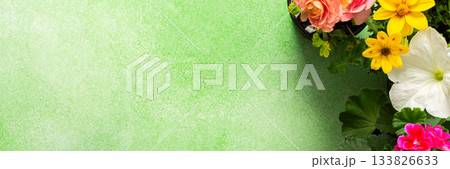 Bright flowers adorn a balcony or terrace, bringing vibrant colors to the space. This spring decoration highlights the joy of nature, inviting warmth and cheer into the environment, banner 133826633