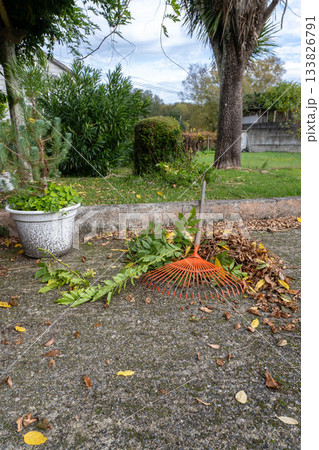 Patio Rake with Leaves Patio Rake with Leaves 133826791