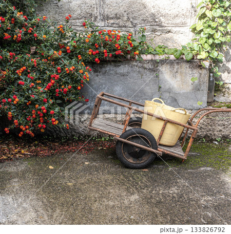 Antique wheelbarrow with bucket Antique wheelbarrow with bucket 133826792
