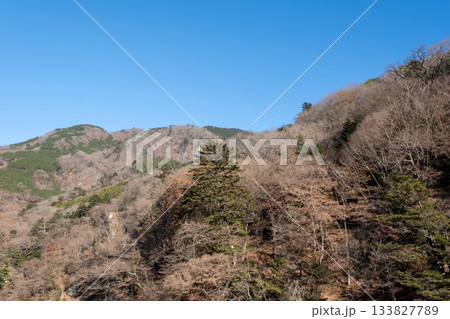 栃木県 塩原の山並の風景 133827789