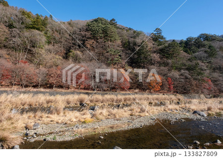 栃木県 塩原 箒川の流れ 133827809
