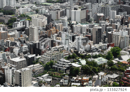 東京都市景観　港区麻布界隈の住宅地 133827924